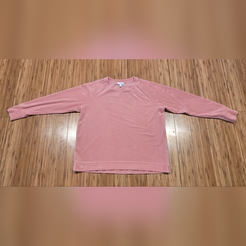 NWOT Time & Tru Pink Long Sleeve Velour Top
